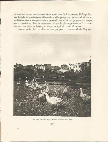 LAMINA 25226: Sant Pere Pescador