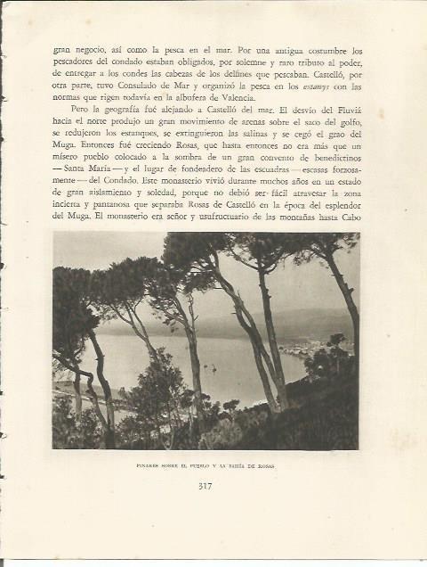 LAMINA 25232: Pinares y bahia de Roses, Girona