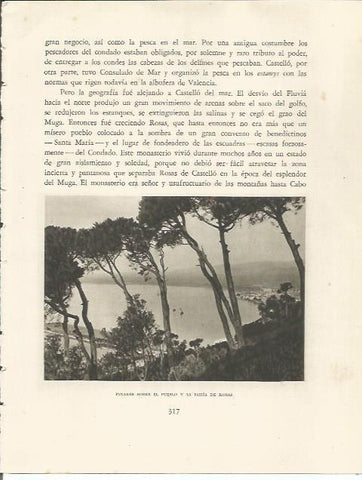 LAMINA 25232: Pinares y bahia de Roses, Girona