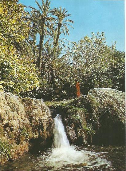 LAMINA 25305: Cascada de Sidi Harazem en Fez