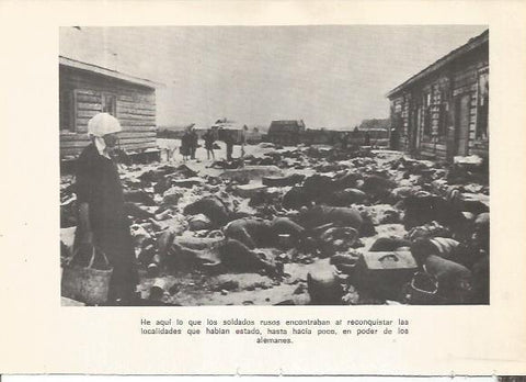 LAMINA 25323: Muertos durante la Segunda Guerra Mundial