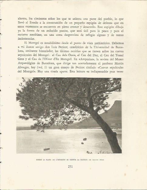 LAMINA 25190: Playa de L'Estartit