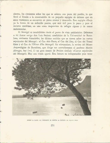 LAMINA 25190: Playa de L'Estartit