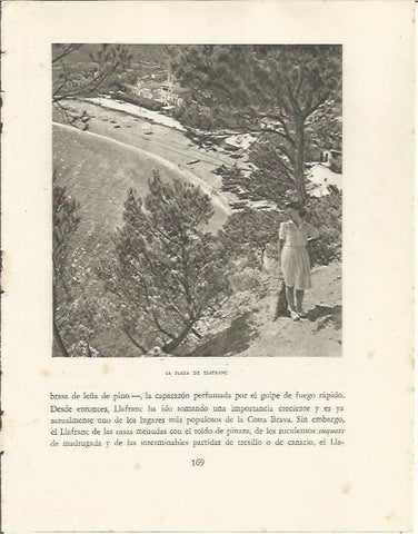 LAMINA 25156: Vista aerea de la playa de Llafranc