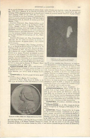 LAMINA ESPASA 37246: Ludovico el Moro