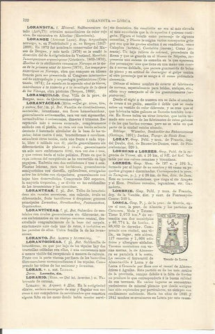 LAMINA ESPASA 37149: Escudo de Lorca, Murcia