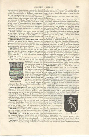 LAMINA ESPASA 37192: Escudo de Loudeac, Francia
