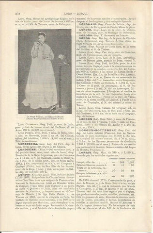 LAMINA ESPASA 37177: La dama del loro,por Manet