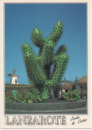 Postal E00077: Cactus, Lanzarote