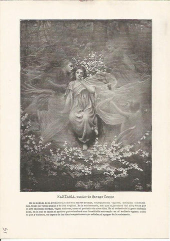 LAMINA 25415: Fantasia,por Savage Cooper