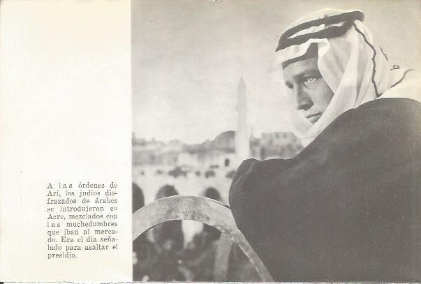 LAMINA 25354: Paul Newman caracterizado en Exodus
