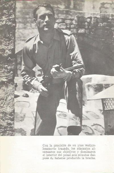LAMINA 25353: Paul Newman en Exodus