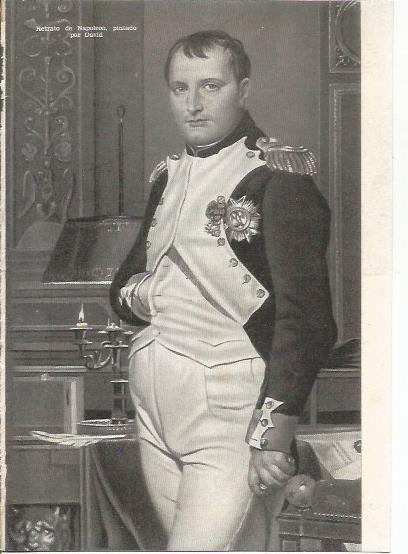 LAMINA 25343: Napoleon, por David