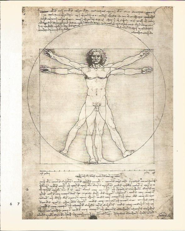 LAMINA 25394: Estudio de un cuerpo humano, por Leonardo da Vinci