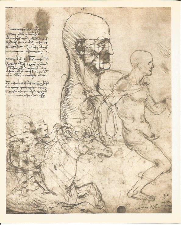 LAMINA 25393: Estudios, por Leonardo da Vinci