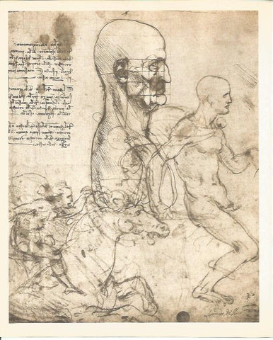 LAMINA 25393: Estudios, por Leonardo da Vinci