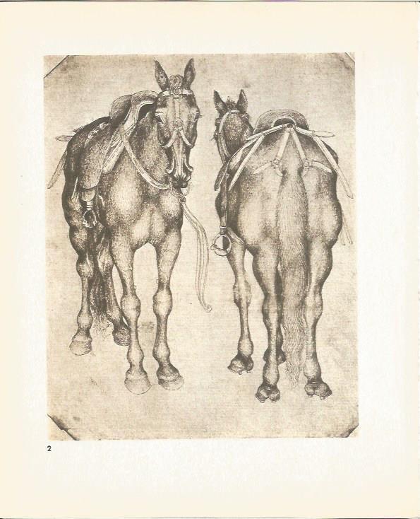 LAMINA 25391: Caballos, por Pisanello
