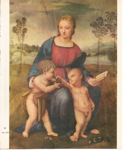 LAMINA 25382: La Virgen del Jilguero, por Rafael