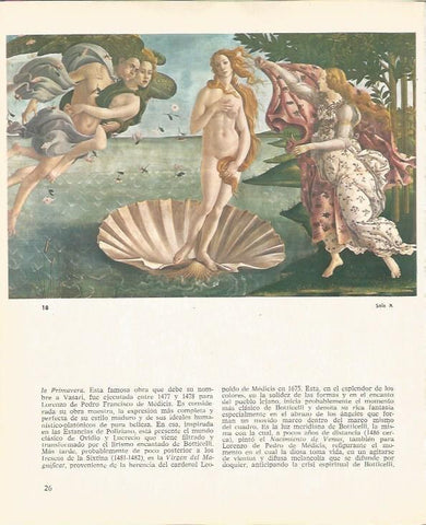 LAMINA 25371: El nacimiento de Venus, por Botticelli