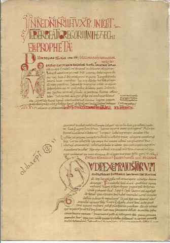 LAMINA 25548: Reproduccion de libro en latin