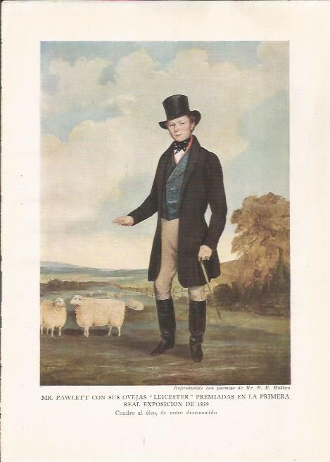 LAMINA 25491: Mr. Pawlett con sus ovejas premiadas en 1839, autor desconocido