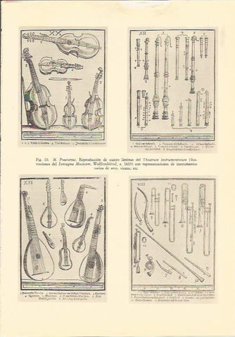 LAMINA 25511: Laminas del Theatrum instrumentorum, de M. Praetorius