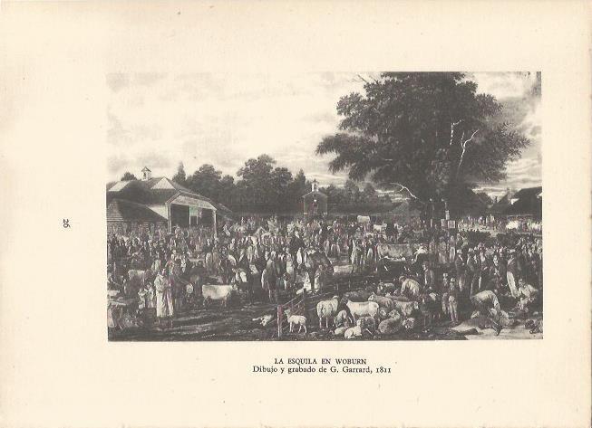 LAMINA 25502: La esquila en Woburn, por G. Garrard