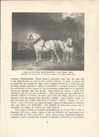 LAMINA 25497: Caballos de tiro de Mr. Henry Meux, por T. Fairland