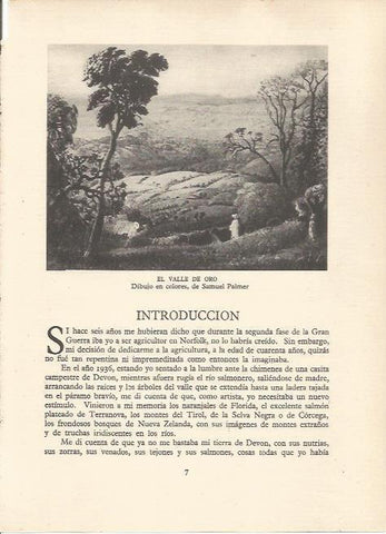 LAMINA 25495: El valle de Oro, por S. Palmer