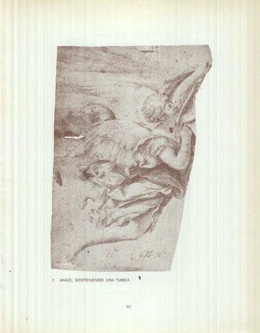 Dibujos de los siglos XVI y XVII: 1/2 Angel sosteniendo una tunica+ Estudio anatomico