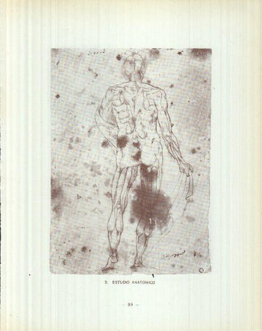Dibujos de los siglos XVI y XVII:  3/4/5: Estudio anatomico + Virgen Asunta + Figura Alegorica
