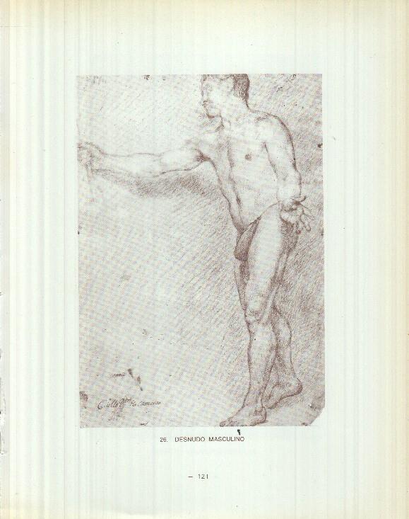 Dibujos de los siglos XVI y XVII: 26/27: Desnudo masculino + Proyecto para un techo