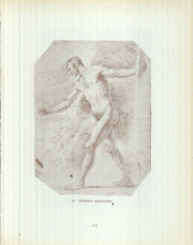 Dibujos de los siglos XVI y XVII: 34/35: Desnudo masculino + Desnudo masculino