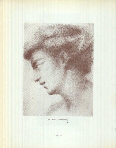 Dibujos de los siglos XVI y XVII: 83/84: Mujer con dos serpientes + Busto femenino