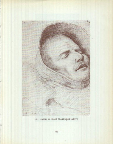 Dibujos de los siglos XVI y XVII: 101/102: Cabeza fraile muerto + San Francisco