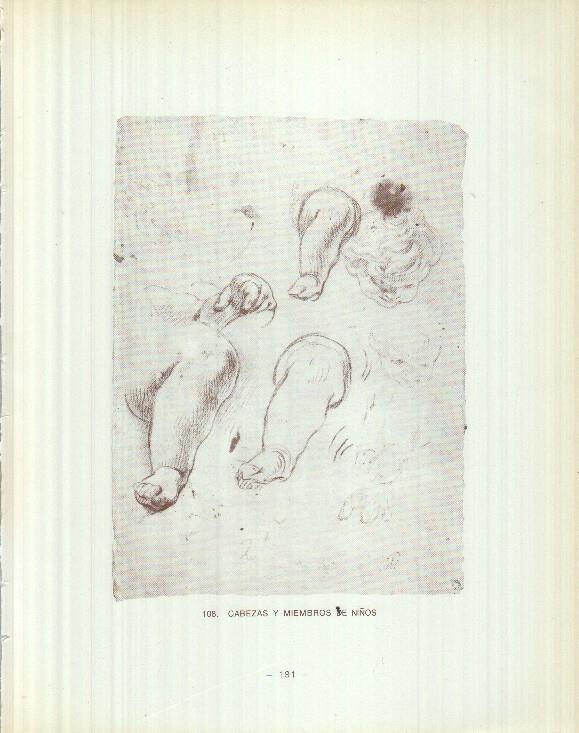 Dibujos de los siglos XVI y XVII: 108/109: Cabeza y miembros de niños + Dos cabezas de angeles niños