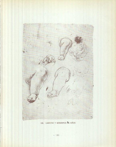 Dibujos de los siglos XVI y XVII: 108/109: Cabeza y miembros de niños + Dos cabezas de angeles niños