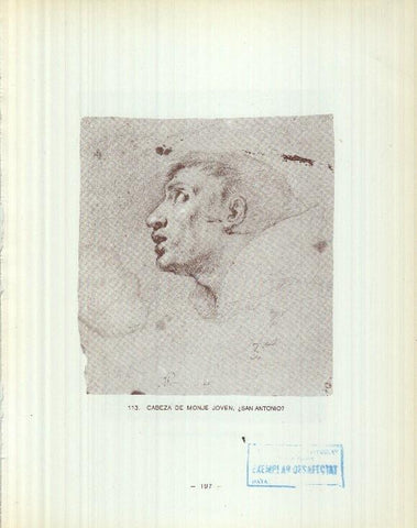 Dibujos de los siglos XVI y XVII: 113/114: San Antonio ? + Cabeza hombre joven 