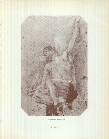 Dibujos de los siglos XVI y XVII: 117/118: Desnudo masculino + Desnudo femenino