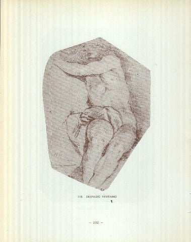 Dibujos de los siglos XVI y XVII: 117/118: Desnudo masculino + Desnudo femenino
