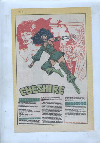Ficha personaje DC Comics numero 212: Cheshire + Chemo