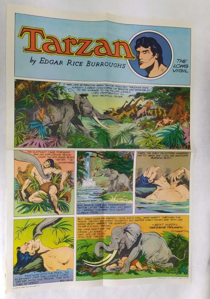Lamina: Tarzan - The long vigil