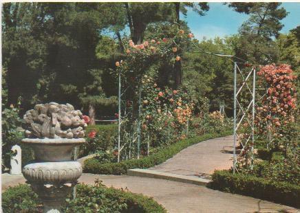 Postal E00699: Parque del Retiro, Madrid