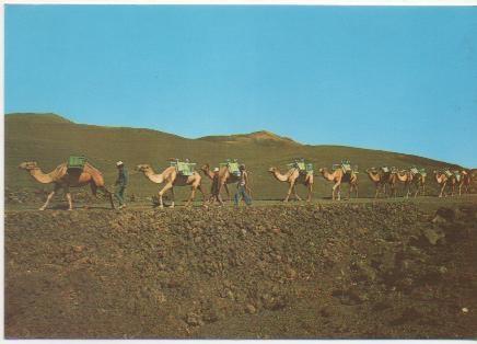 Postal E00583: Caravana, Lanzarote