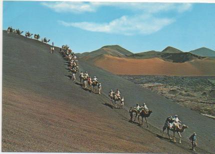 Postal E00584: Caravana Camellos, lanzarote
