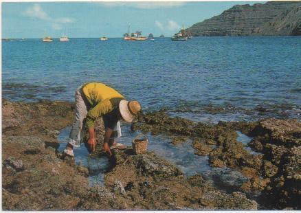 Postal E00602: La Graciosa,Lanzarote