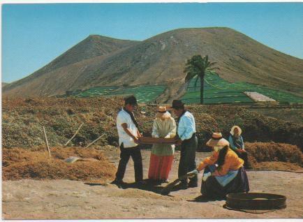 Postal e00565: Faena labranza, Lanzarote