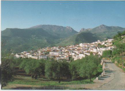 Postal E00639: Alcaucin Málaga