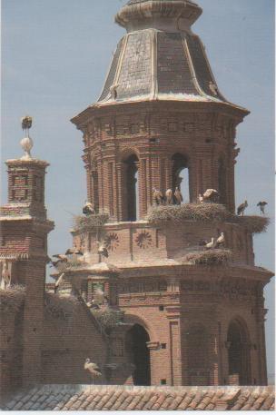 Postal E00629: Alfaro, La Rioja