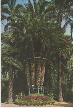 Postal E00904: Palmera principal, Huerto del Cura, Elche